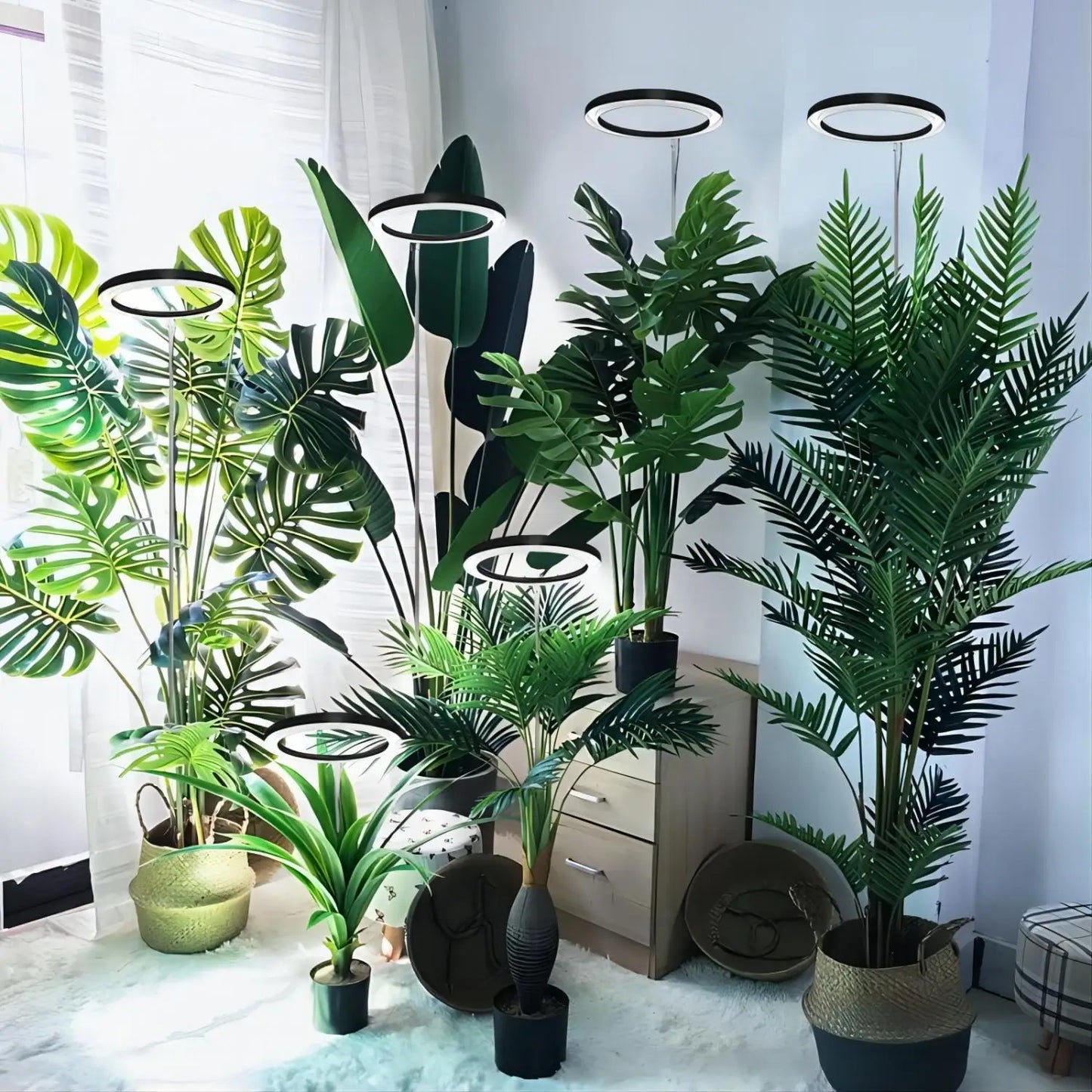 Plant growth light, full spectrum LED indoor plant lighting, height adjustable with automatic switch timer for 3/9/12 hours