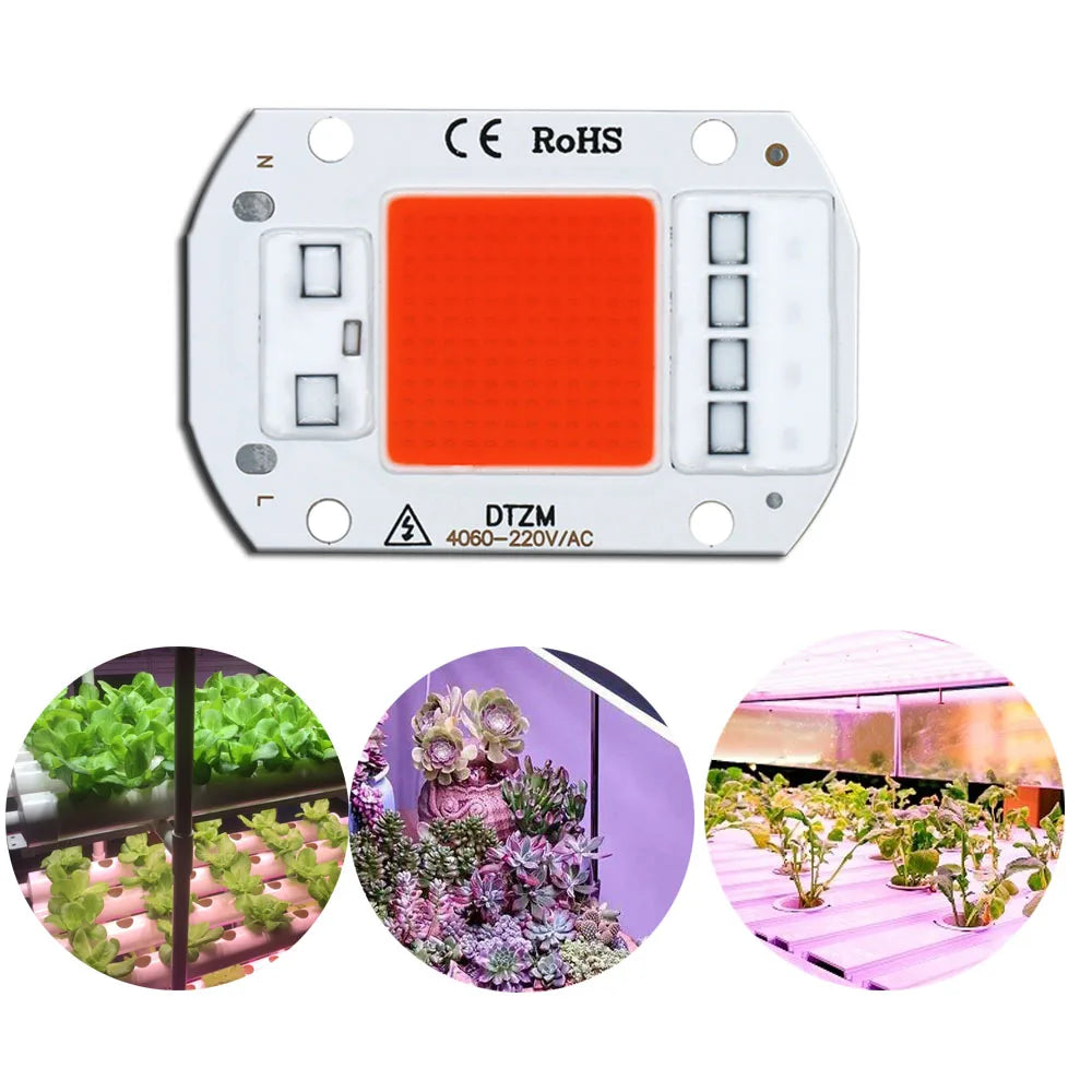 LED Grow Light Full Spectrum COB LED Chip AC220V No need driver Phyto Lamp For Indoor Plant Light Seedling Grow Lamp