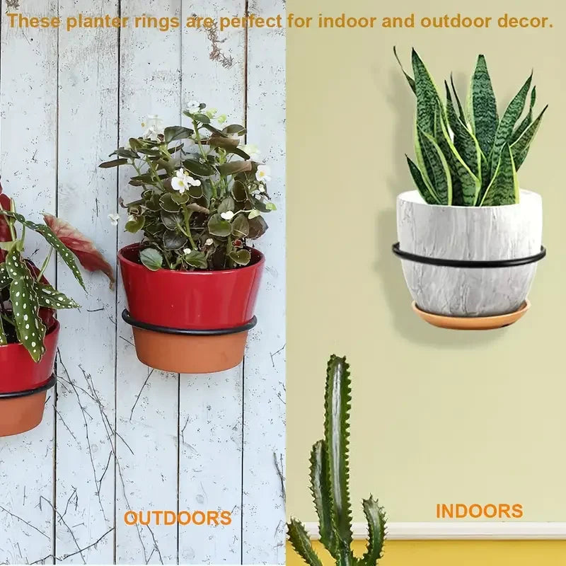 4/5/6/8inch Flower plant stand ring wall mount, plant wall hanging ring, metal plant stand wall mount Flower pot hook