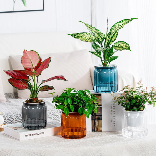 Transparent Double Layer Plastic Flower Pot Self Watering Plastic Flower Vase Lazy Potted Tabletop Home Garden Office Decor