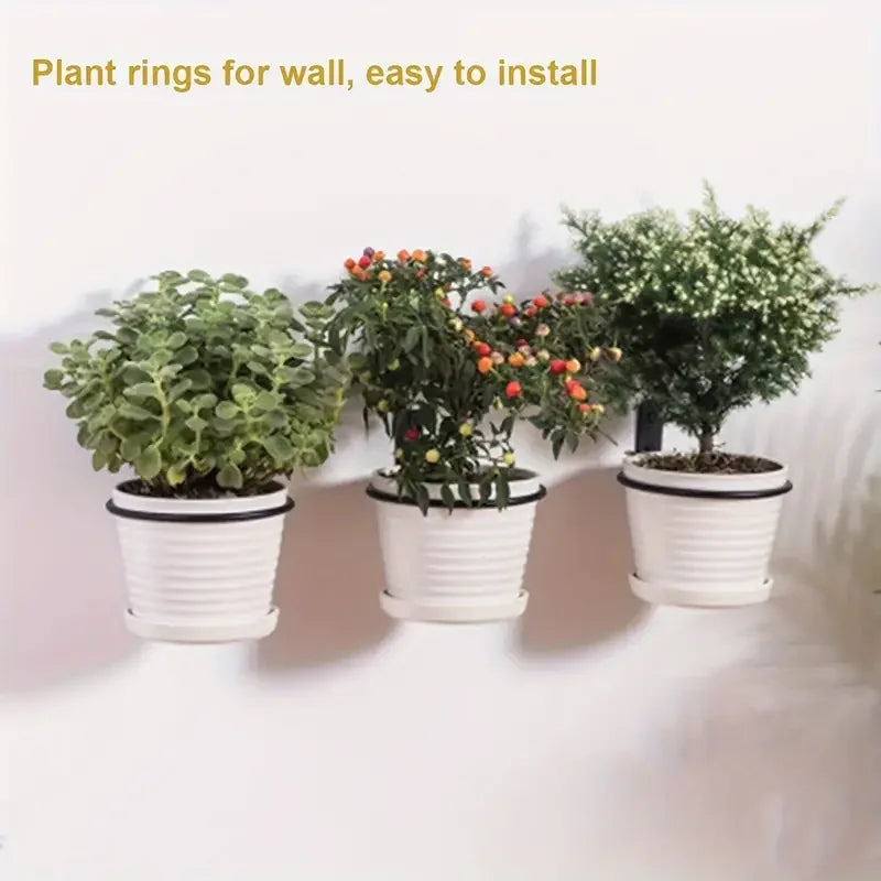 4/5/6/8inch Flower plant stand ring wall mount, plant wall hanging ring, metal plant stand wall mount Flower pot hook