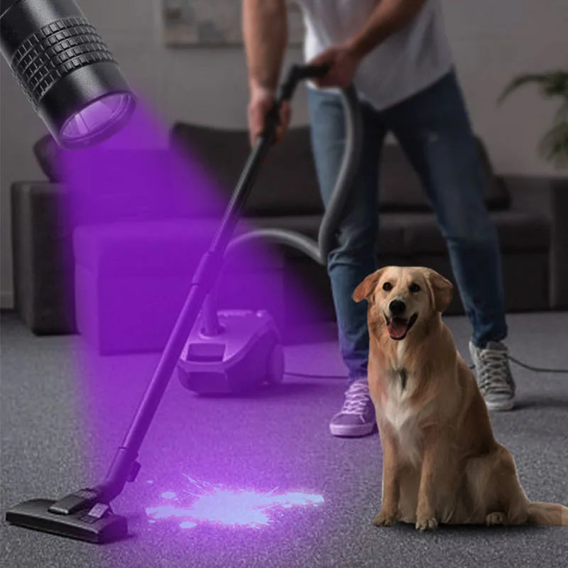 UV Flashlight 365nm Ultraviolet Torch Portable With For Pen Clip Pet Urine Scorpion Detector UV Lamp AAA Batteries Violet Light