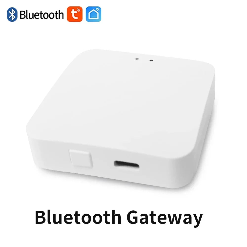 TNCE Smart Tuya Bluetooth Garden Water Timers  Rain Delay Programmable Automatic Sprinkler Drip Irrigation Valve Support Alexa