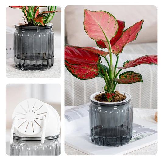 Transparent Double Layer Plastic Flower Pot Self Watering Plastic Flower Vase Lazy Potted Tabletop Home Garden Office Decor