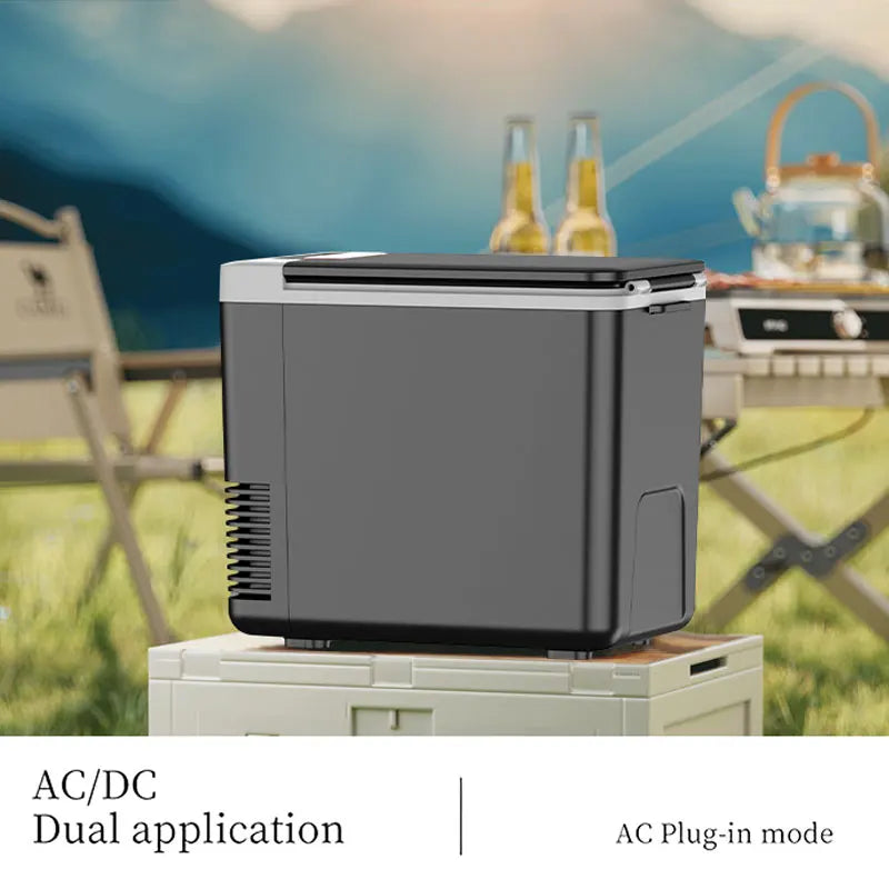 10L mini Refrigerator For Car Home Travel Refrigerator 12V 220V Auto Freezer Cooler & Warmer Electric Fridge Portable Icebox