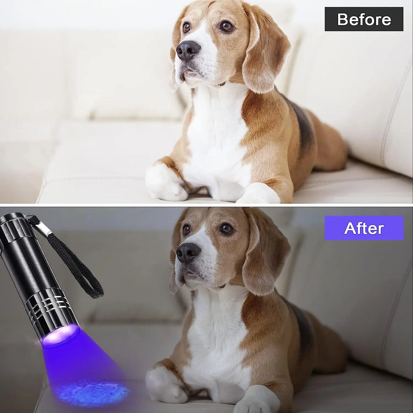 Mini UV Flashlight Ultraviolet Lamp 395-400nm Black Light Flashlights UV Torch UV Light Detector for Pet Urine Stain Dry Stain