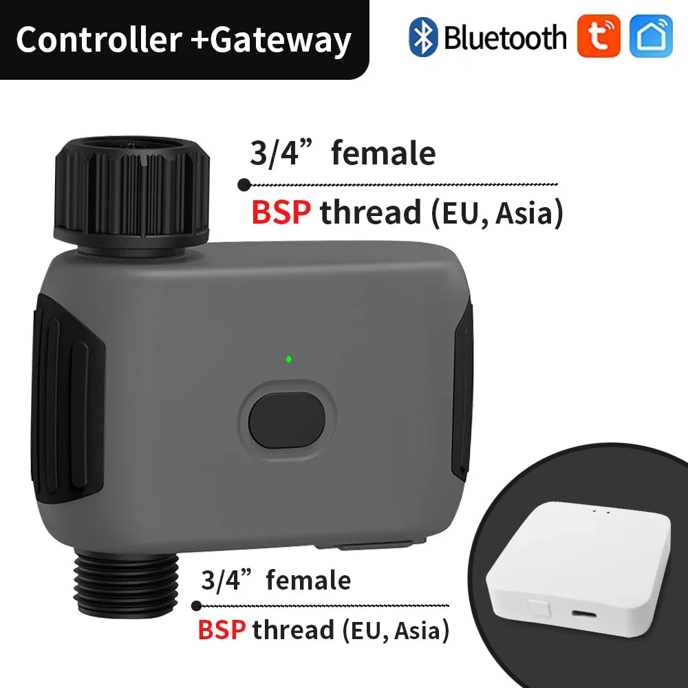 TNCE Smart Tuya Bluetooth Garden Water Timers  Rain Delay Programmable Automatic Sprinkler Drip Irrigation Valve Support Alexa