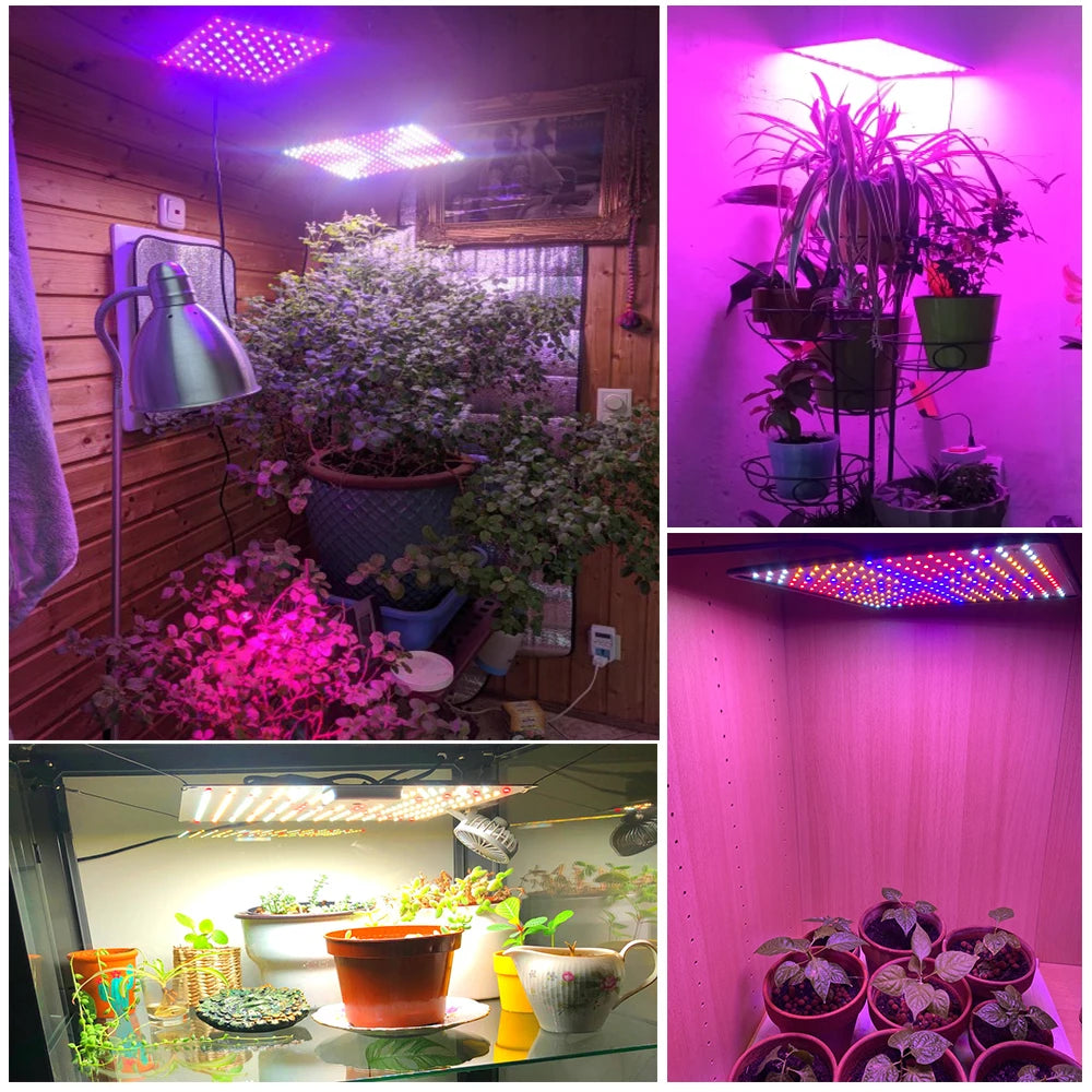 1000W LED Grow Light Panel Full Spectrum Phyto Lamp AC85-240V EU/US Plug For Indoor Grow Tent Plants Growth Light