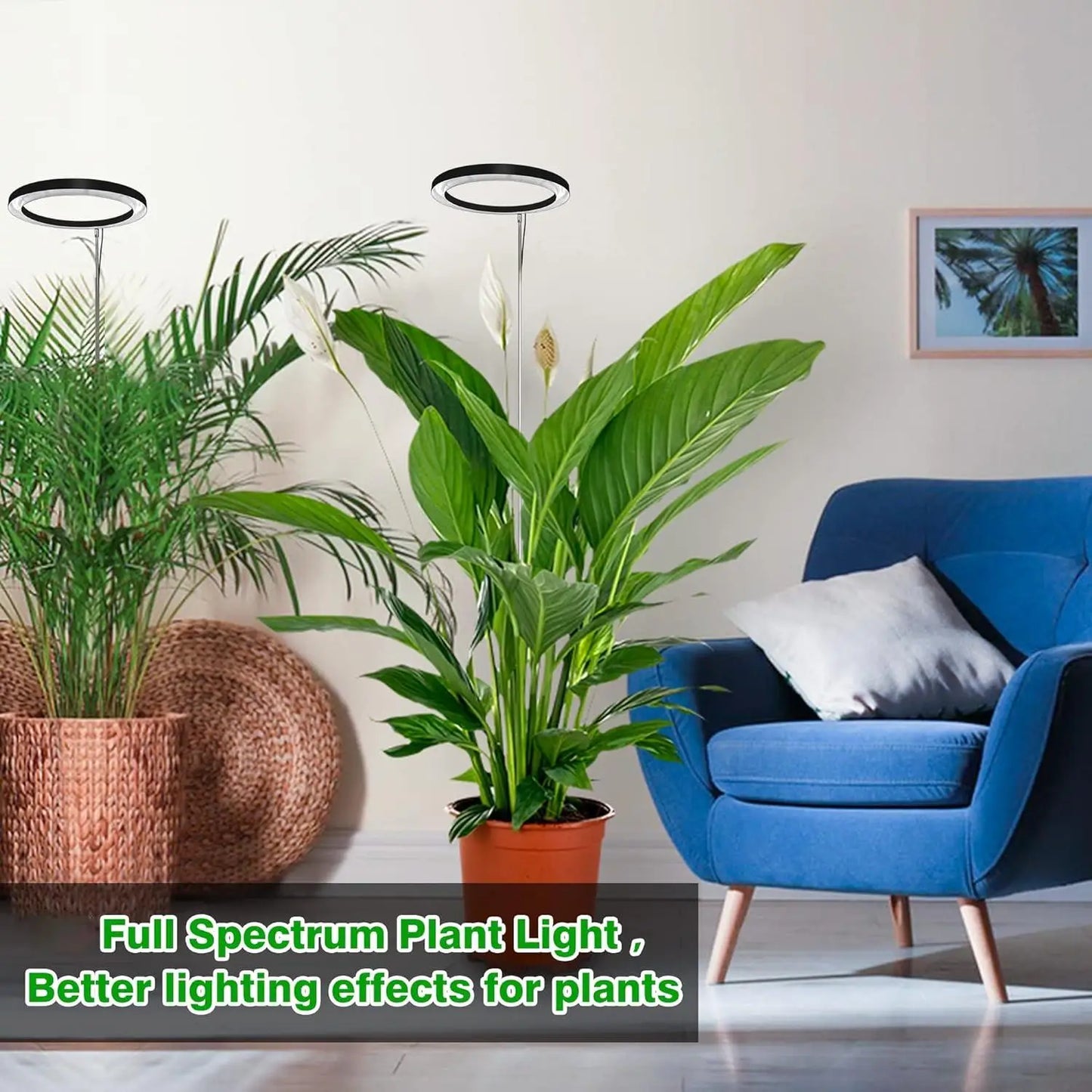 Plant growth light, full spectrum LED indoor plant lighting, height adjustable with automatic switch timer for 3/9/12 hours